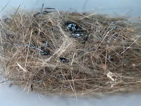 难以想象的 英语,难以想象!地球上18个最酷炫的