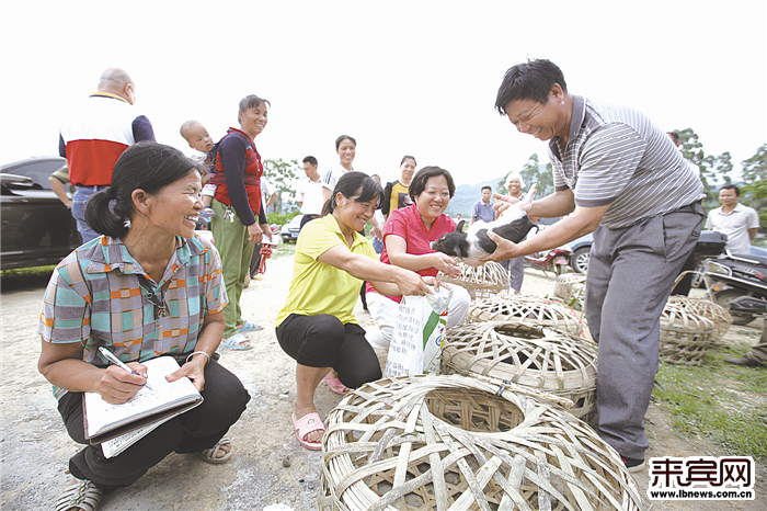 来宾市兴宾区人口_江州区委宣传部组织人员到来宾市兴宾区学习考察(2)