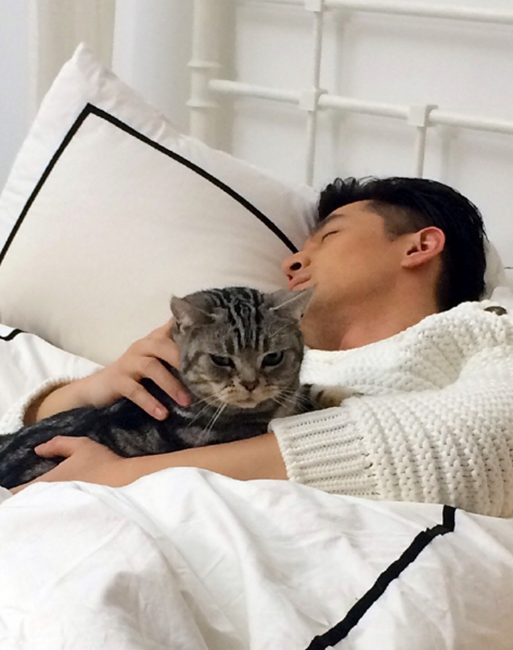 永昌娱乐17708843444放开那只喵让我来!胡歌抱着猫猫想索吻